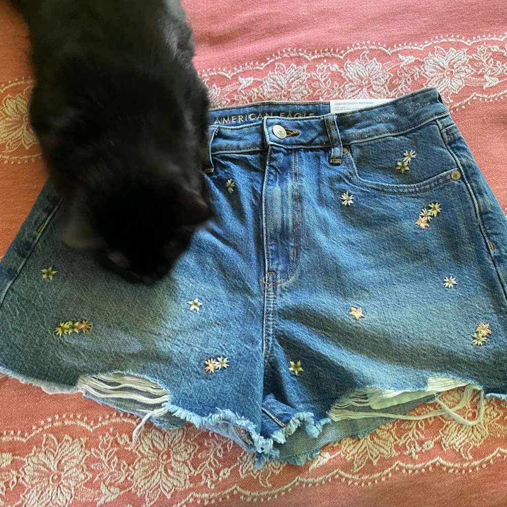 American Eagle mom shorts